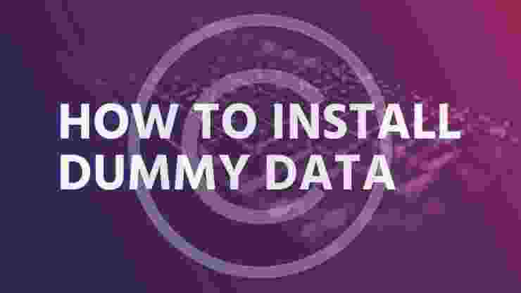 How to install dummy data